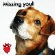 "Missing You" Dog eCard