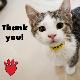 "Thank You" Cat eCard